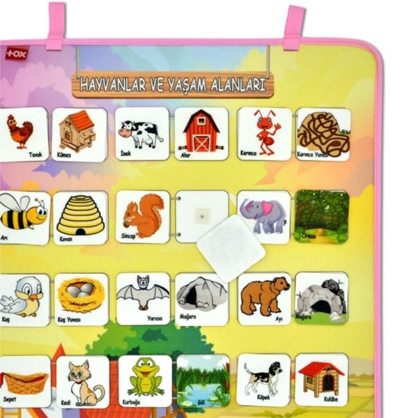 Hayvanlar ve Yaşam Alanları Keçe Cırtlı Duvar Panosu