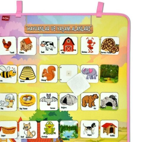 Hayvanlar ve Yaşam Alanları Keçe Cırtlı Duvar Panosu