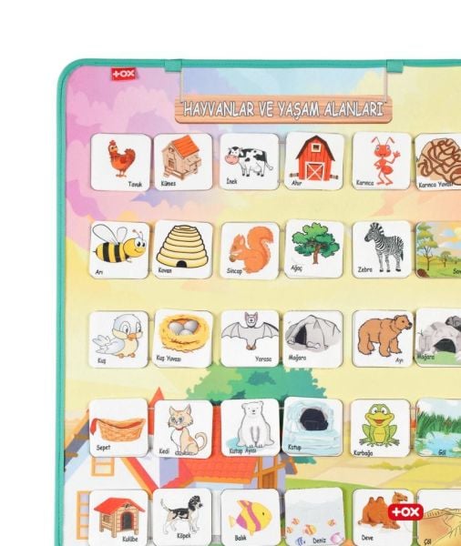 Hayvanlar ve Yaşam Alanları Keçe Cırtlı Duvar Panosu