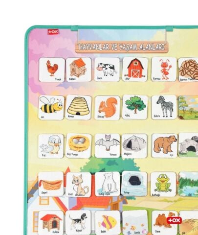 Hayvanlar ve Yaşam Alanları Keçe Cırtlı Duvar Panosu