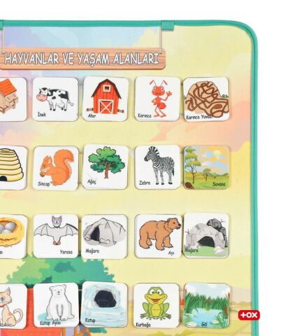 Hayvanlar ve Yaşam Alanları Keçe Cırtlı Duvar Panosu