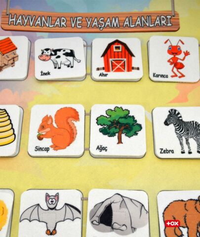 Hayvanlar ve Yaşam Alanları Keçe Cırtlı Duvar Panosu
