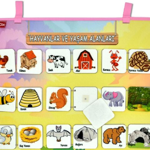 Hayvanlar ve Yaşam Alanları Keçe Cırtlı Duvar Panosu