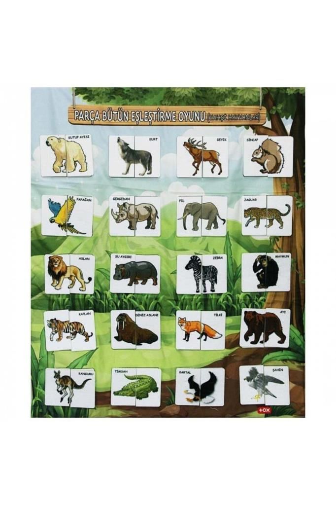 Resmi Tamamlama Vahşi Hayvanlar Eğitici Pano