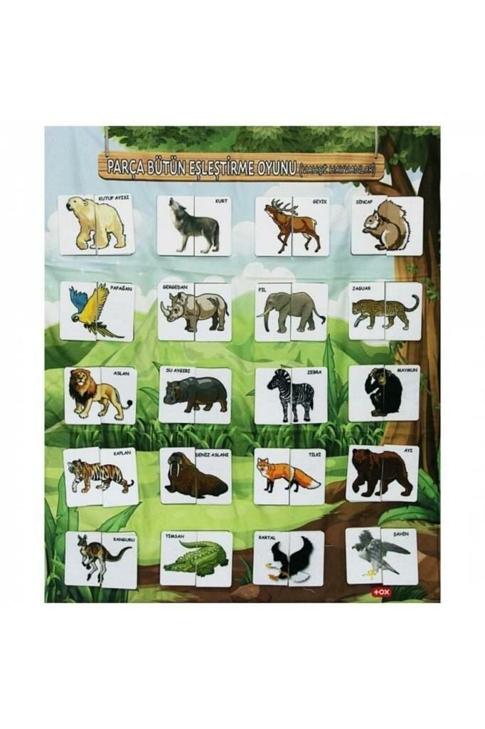 Resmi Tamamlama Vahşi Hayvanlar Eğitici Pano