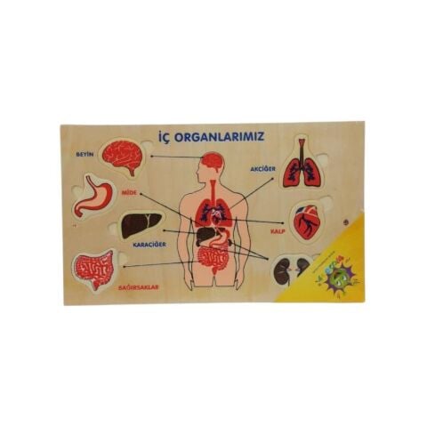 Ahşap Yapboz Duyu Organlarımız