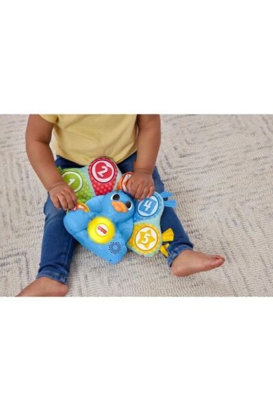 Fisher-Price Linkimals -Rengarenk Tavus Kuşu™