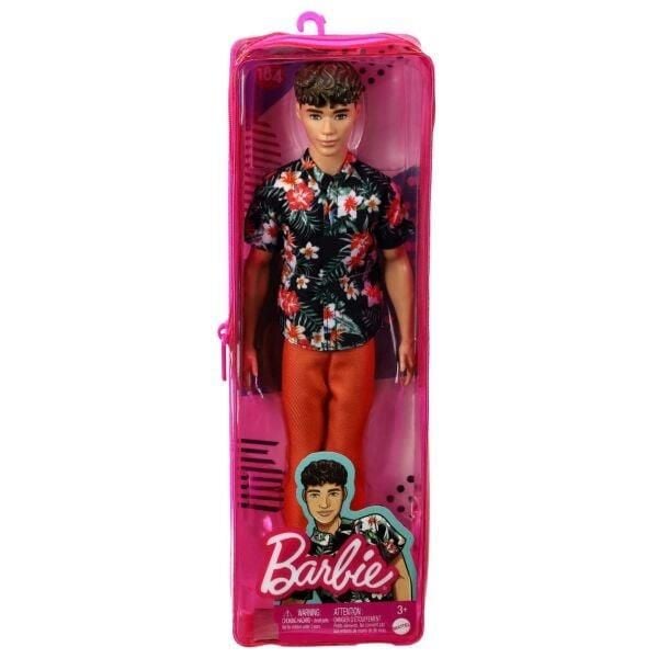 Barbie Yakışıklı Ken Bebekler DWK44
