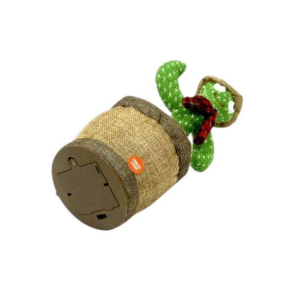 Işıklı Sesli Kaktüs