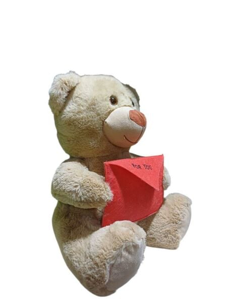 Peluş 40 cm Mektuplu Ayıcık