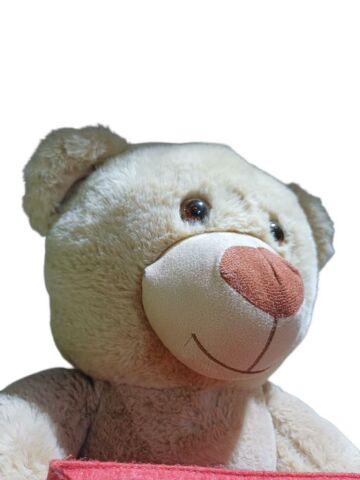 Peluş 40 cm Mektuplu Ayıcık