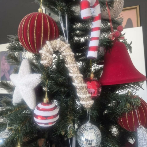 Yılbaşı Baston Şeker İnci Şeritli 17 cm