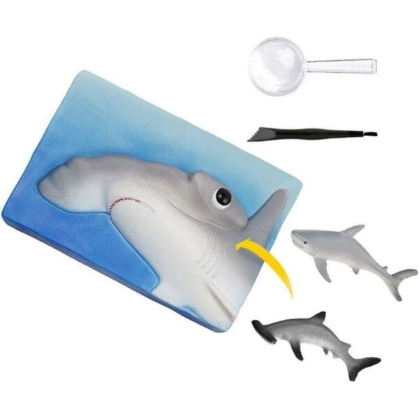 National Geographic Köpek Balığı Bulma Kiti