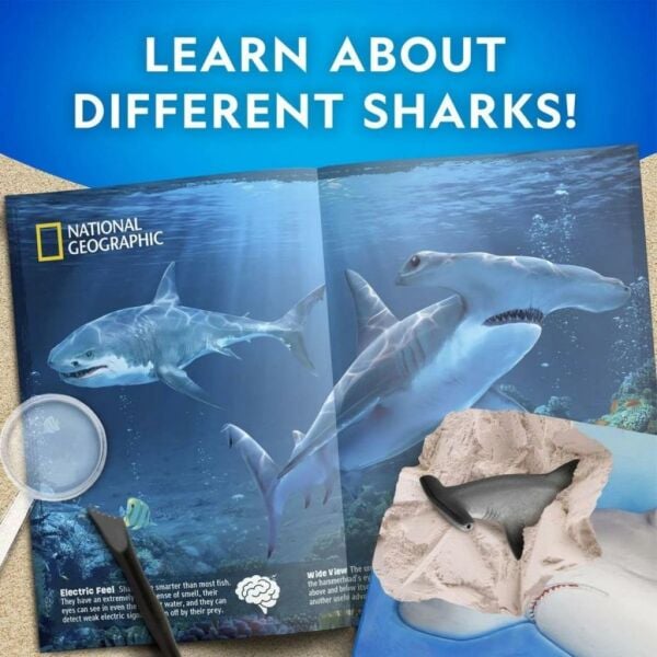 National Geographic Köpek Balığı Bulma Kiti