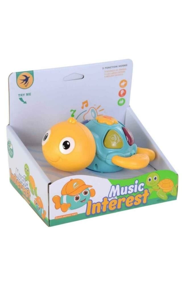 Müzikli Küçük Deniz Kaplumbağası