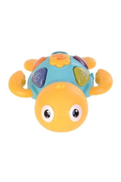 Müzikli Küçük Deniz Kaplumbağası