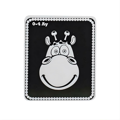 Bebeğimin İlk Zeka Kartları Flash Kart