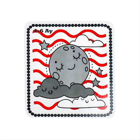 Bebeğimin İlk Zeka Kartları Flash Kart