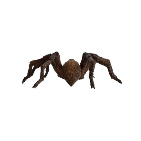 Harry Potter Aragog