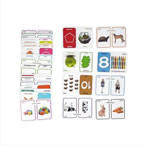 Sayılar Renkler Şekiller Süper Set