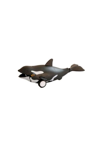 16 Displayde Sürtmeli Su Altı Dünyası (1 Adet)