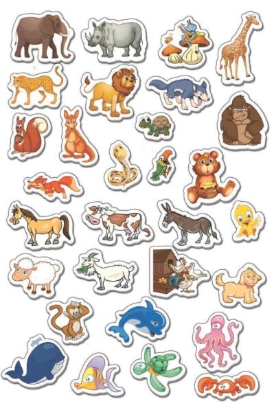 DIYTOY Manyetik Hayvanlar