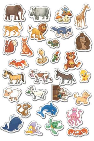 DIYTOY Manyetik Hayvanlar