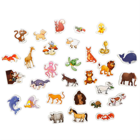 DIYTOY Manyetik Hayvanlar