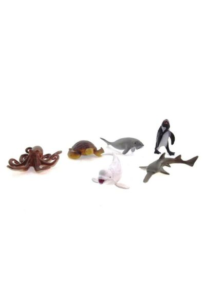 Model Deniz Hayvanları