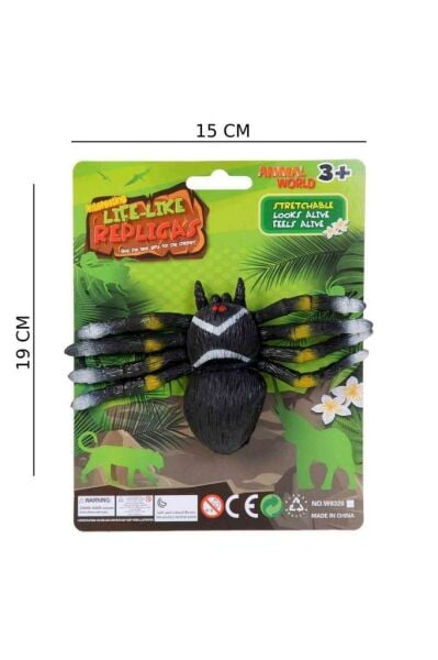 Esnek Hayvanlar Örümcek