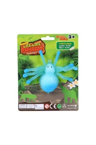 Esnek Hayvanlar Örümcek