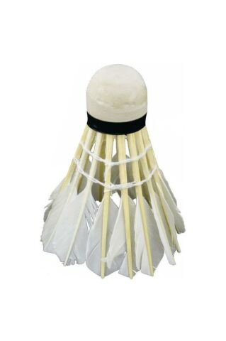 Delta Özel Kaz Tüyü Pratik Kutusunda 6 Adet Mantar Kafa Badminton Topu