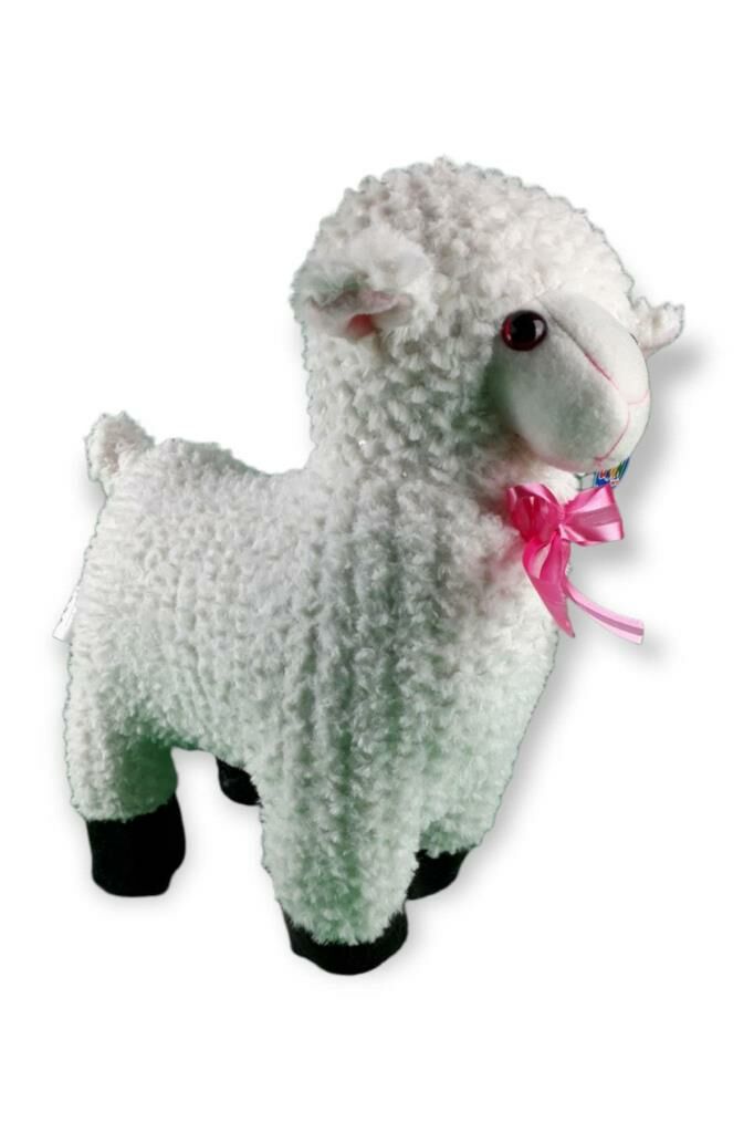 Peluş Kuzu