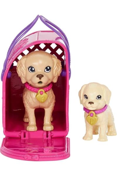 Barbie ve Köpekçikleri Oyun Seti HKD86
