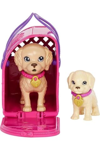 Barbie ve Köpekçikleri Oyun Seti HKD86