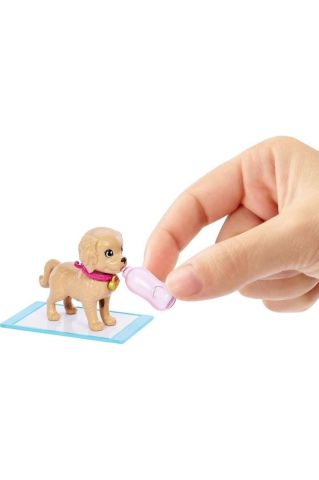 Barbie ve Köpekçikleri Oyun Seti HKD86