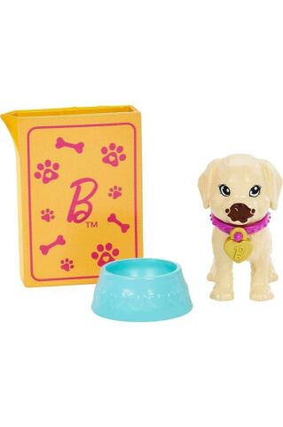Barbie ve Köpekçikleri Oyun Seti HKD86