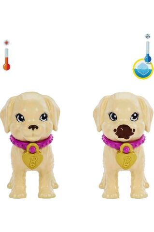 Barbie ve Köpekçikleri Oyun Seti HKD86