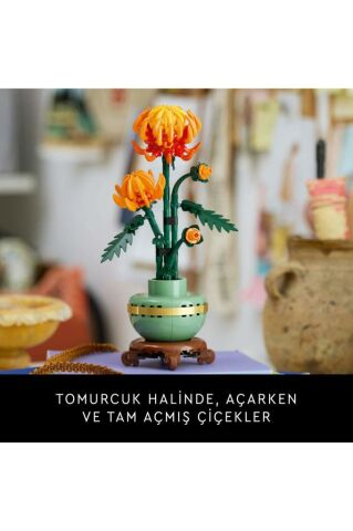 LEGO ® Icons Krizantem Dekoratif Çiçek Yapım Seti 10368