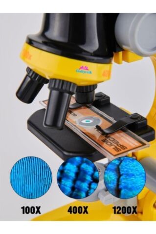 Eğitici Ve Öğretici Işıklı Objektif Mikroskop Seti