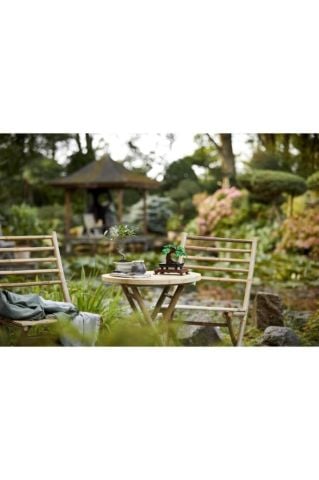 LEGO ® ICONS Bonsai Ağacı 10281 - Yetişkinler İçin Koleksiyonluk Dekoratif Yapım Seti (878 Parça)