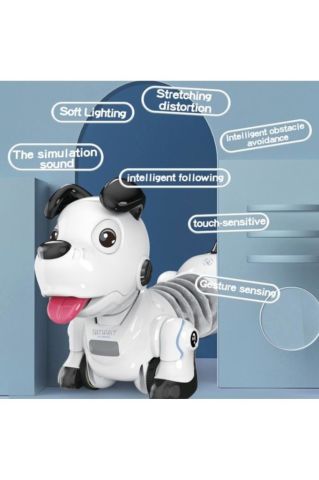 Uzaktan Kumandalı Işıklı ve Sesli Akıllı Robot Köpek