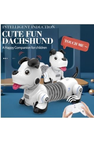 Uzaktan Kumandalı Işıklı ve Sesli Akıllı Robot Köpek