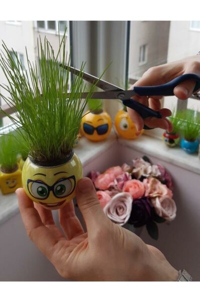 Çimoji Çim Adam Süslü