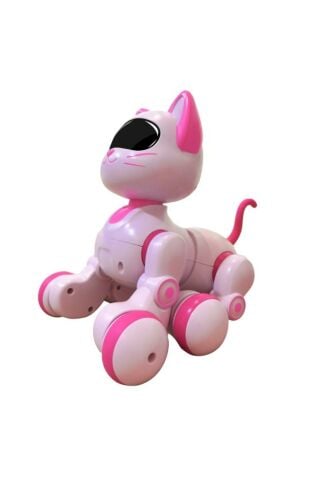 Uzaktan Kumandalı Harekete Duyarlı Şarjlı Akıllı Kedi