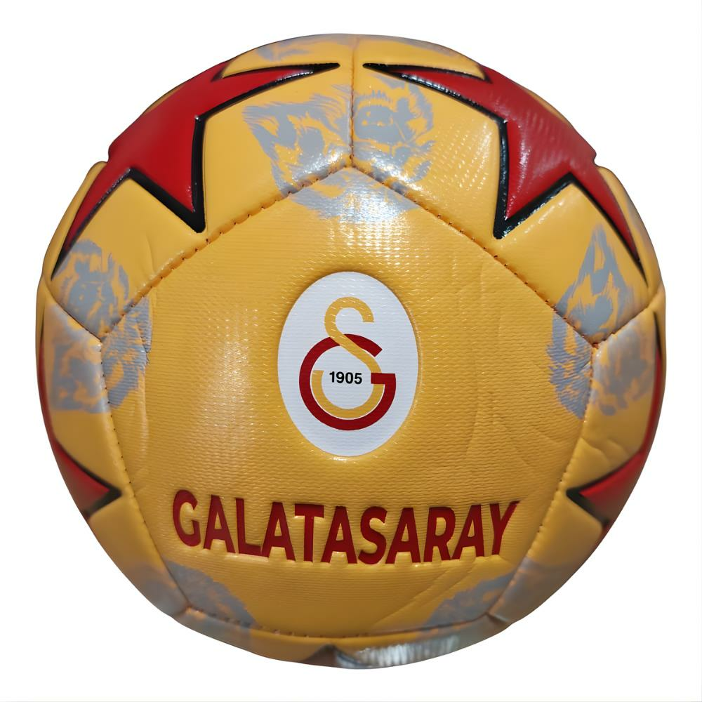Galatasaray Futbol Topu Lion