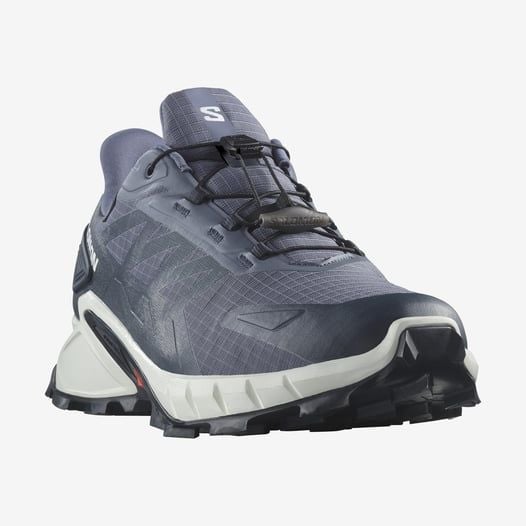 Salomon Supercross 4 Gore-Tex Erkek Patika Koşu Ayakkabısı