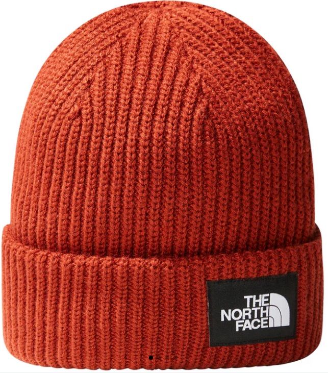 The North Face Salty Dog Lined Beamıe Bere