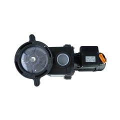 Whisperflo 2 HP Trifaze Havuz Pompası