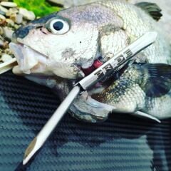 PRIDE 52 ROCKWELL C KELEBEK (6mm/6.25mm/6.5mm)
